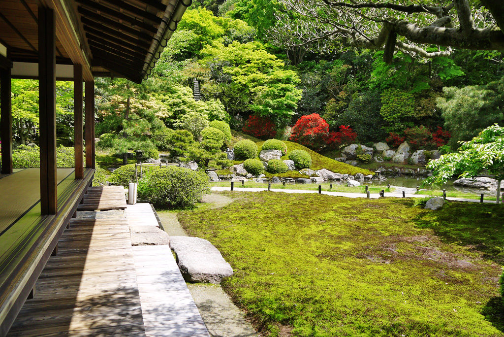 青蓮院の庭(京都)